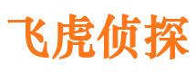 三亚找人公司